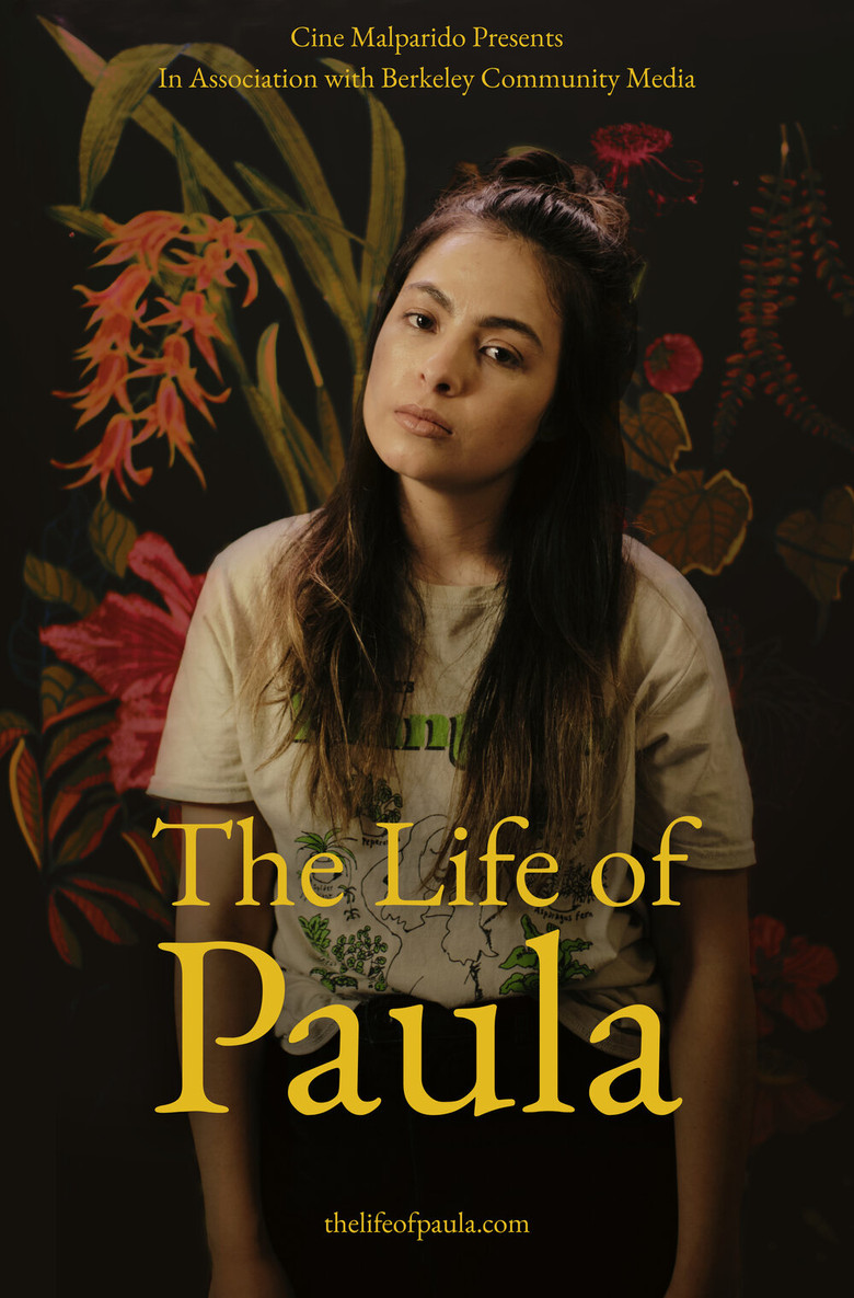 The Life of Paula poster background