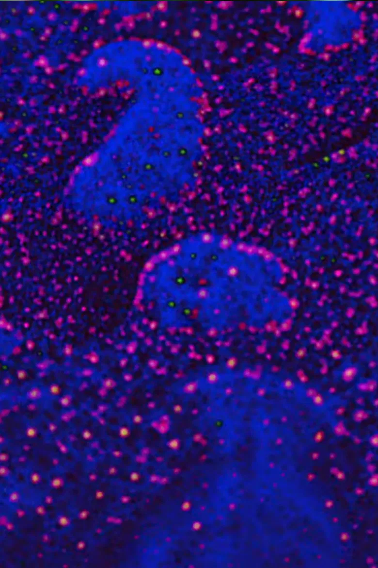 Grauer Sand poster background