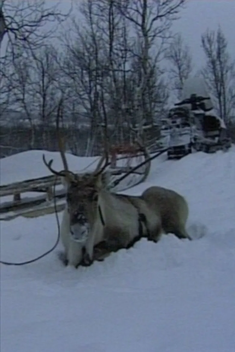 Niestebohcco njuovvan poster background