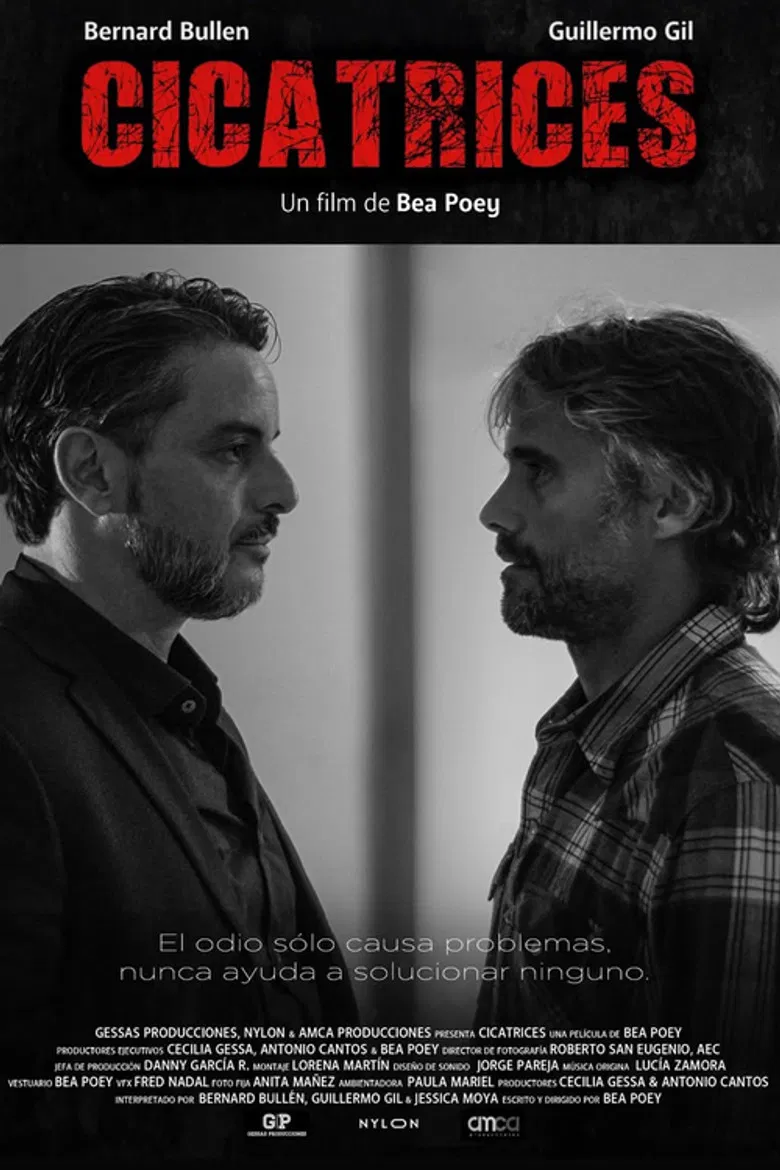 Cicatrices poster background