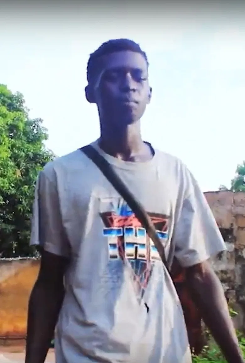 The Migrant Survivor poster background