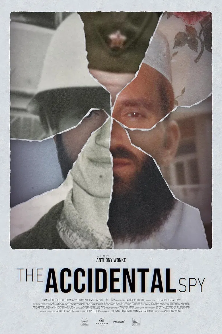 The Accidental Spy poster background
