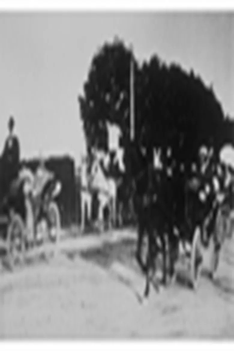 Vienne : retour des courses poster background