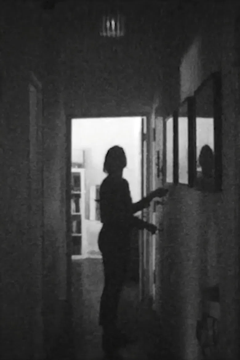 APERTURE/CORRIDOR poster background