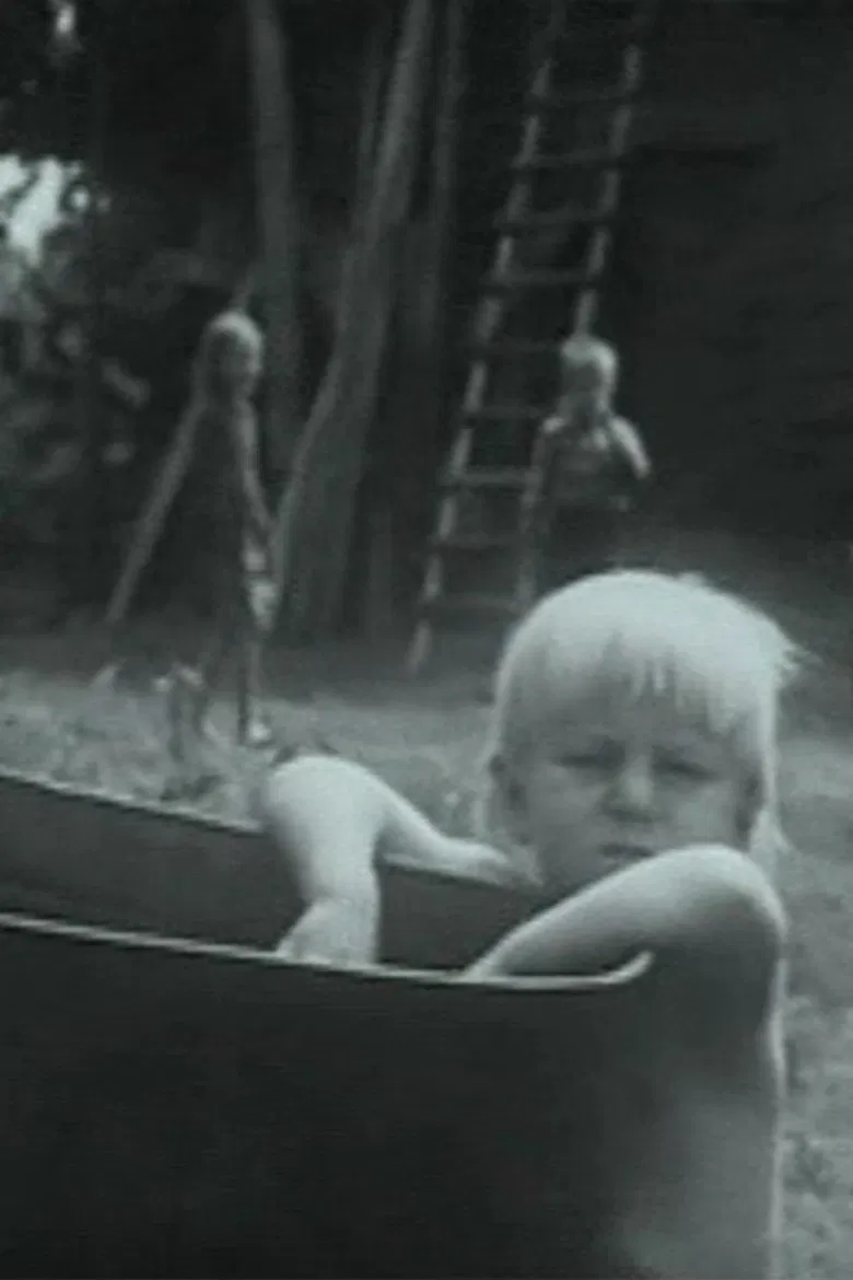 Paskutinė vienkiemio vasara poster background