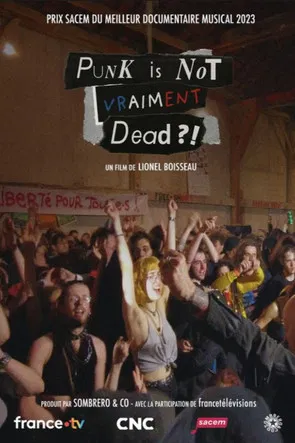 Punk is not vraiment dead ?! poster background