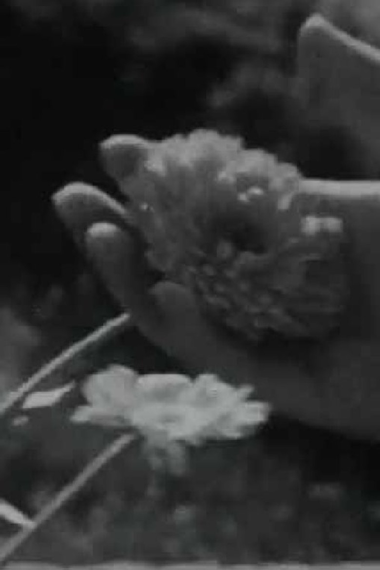 Cántico poster background