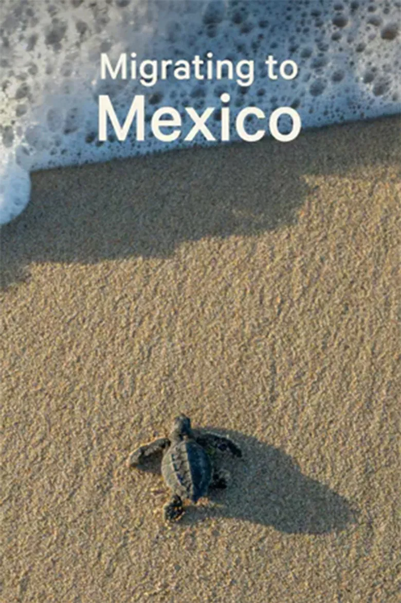 Migrating to Mexico poster background