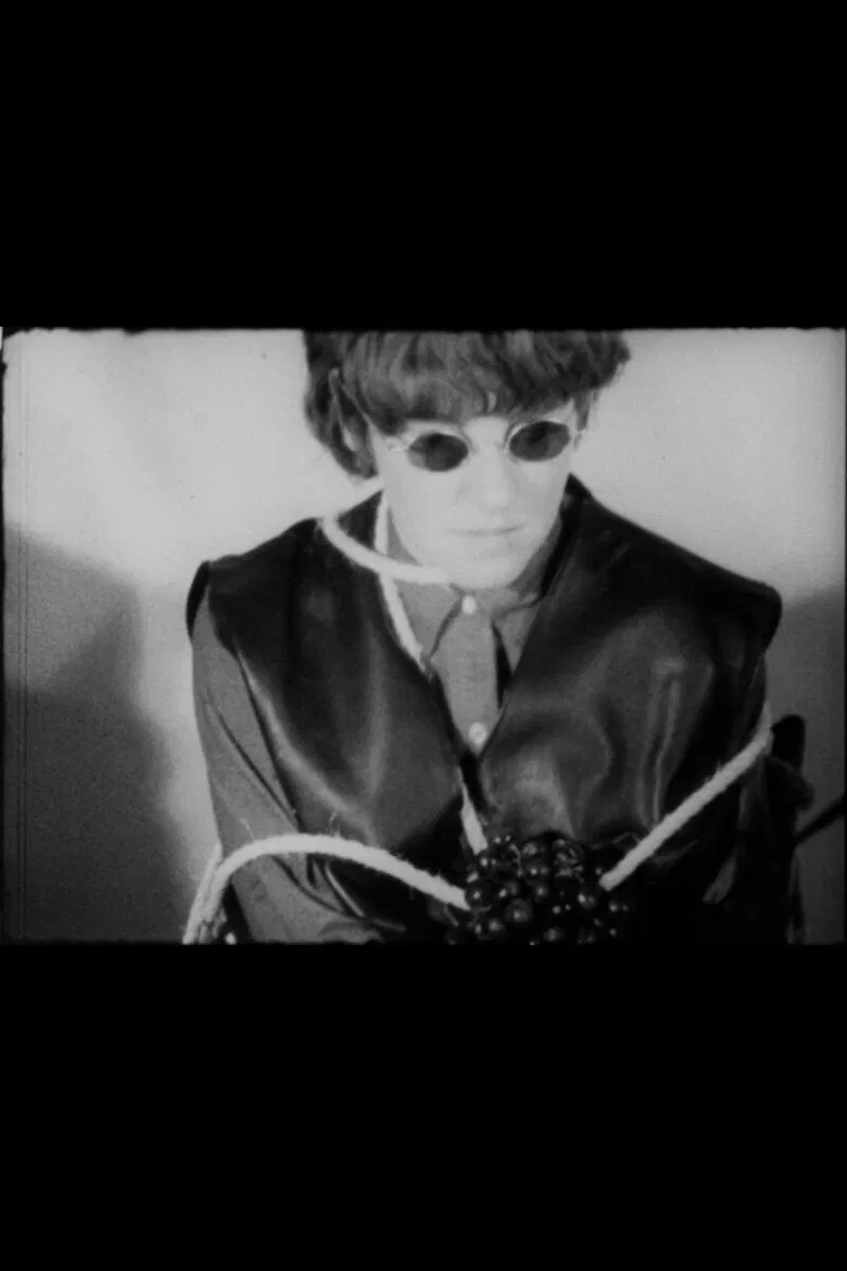 Whips poster background