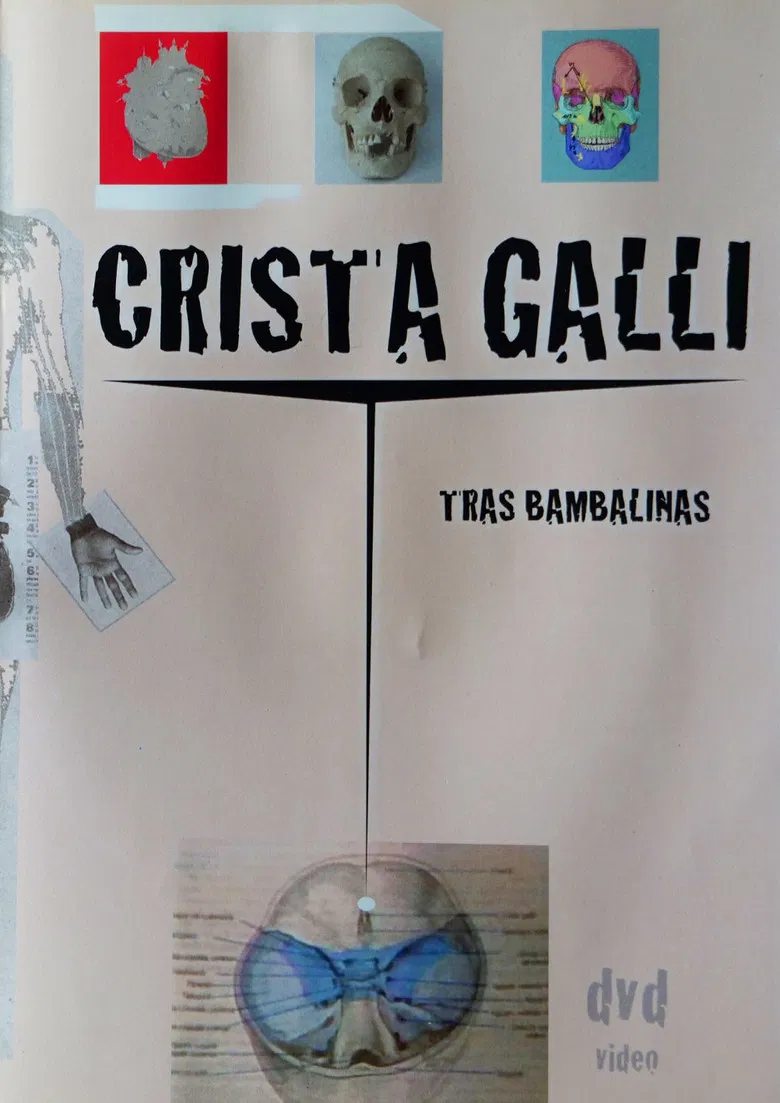 Crista Galli: Tras Bambalinas poster background