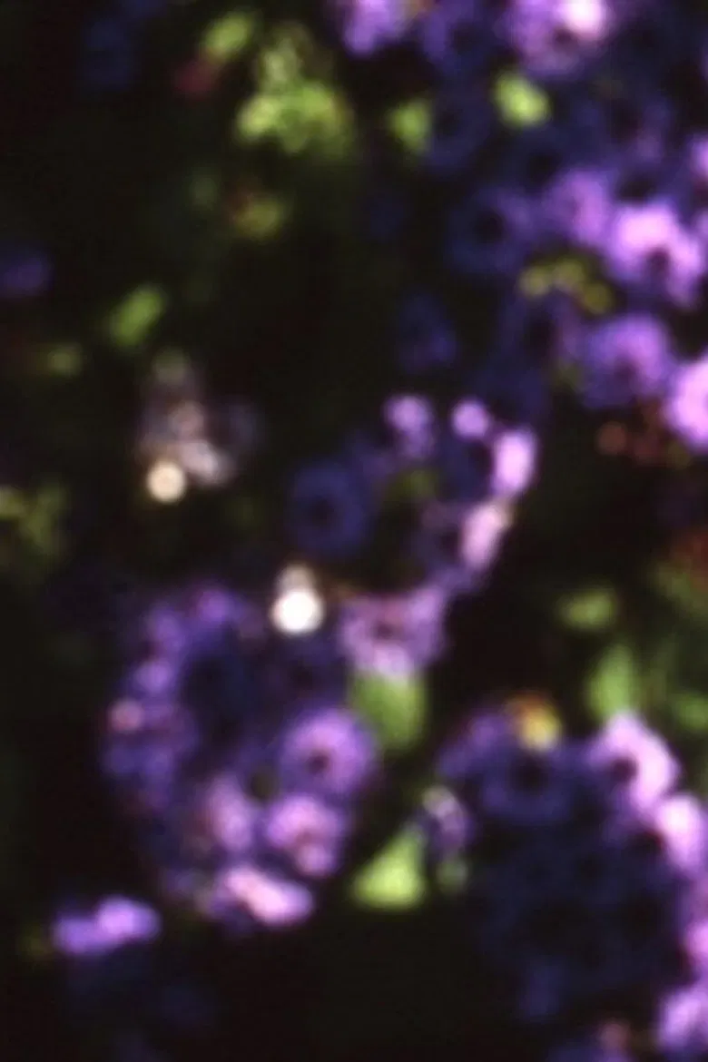 Abaton poster background