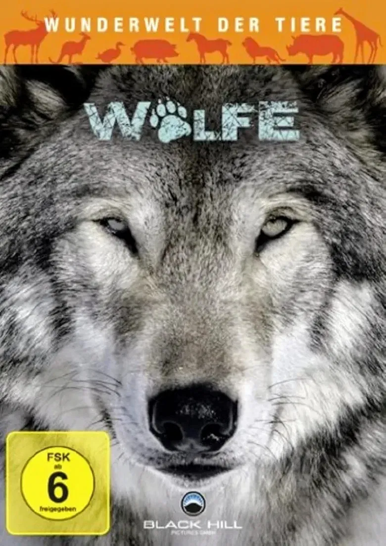 Wunderwelt der Tiere - Wölfe poster background