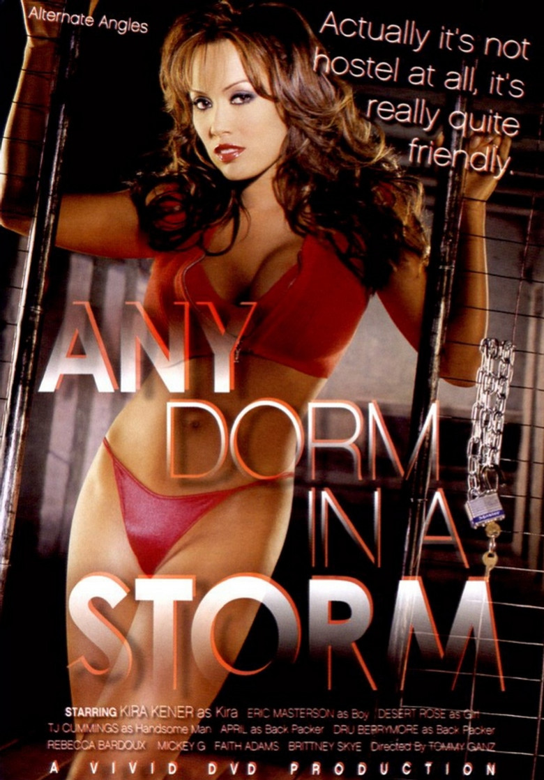 Any Dorm in a Storm poster background