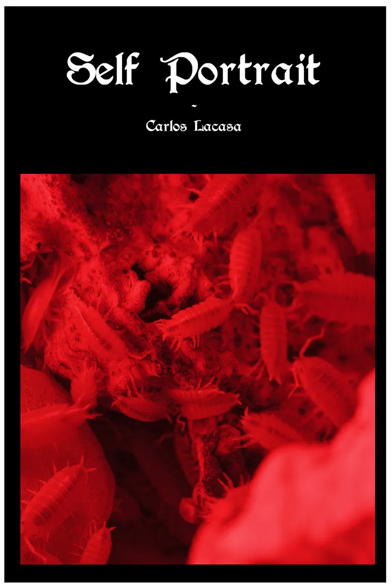 Self Portrait poster background