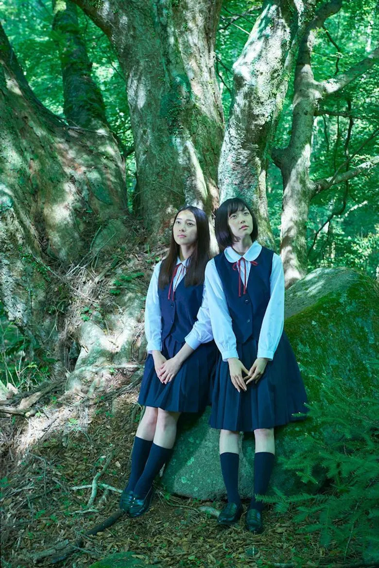 20dB poster background