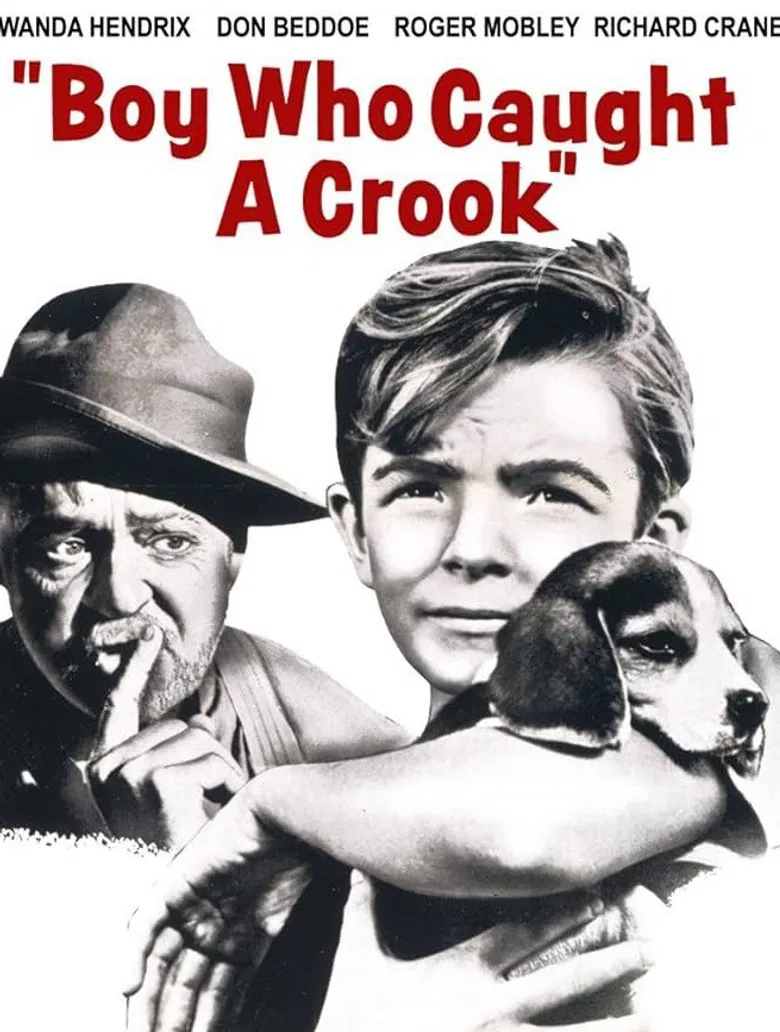 Boy Who Caught a Crook poster background