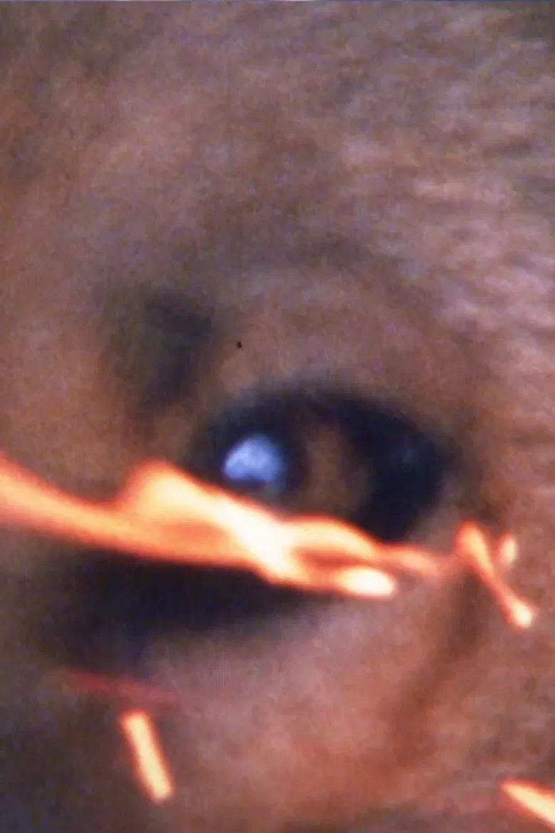 YAGAWA 5 poster background