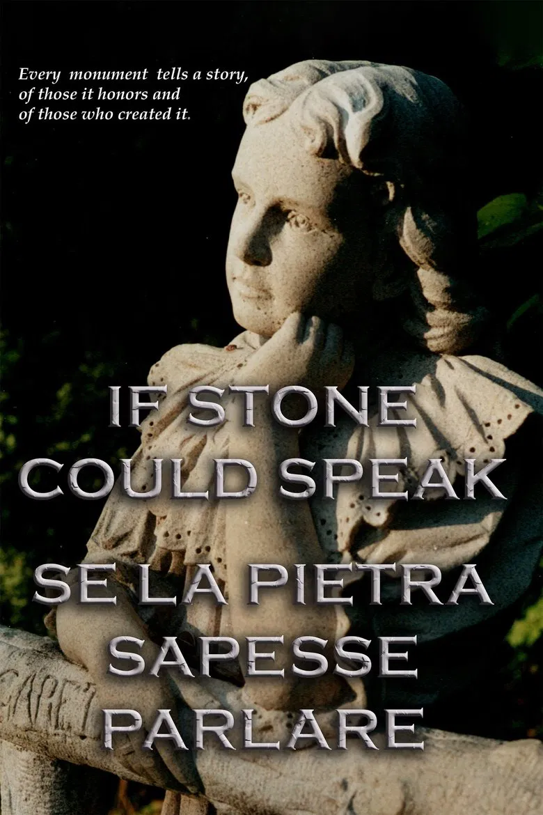 If Stone Could Speak poster background