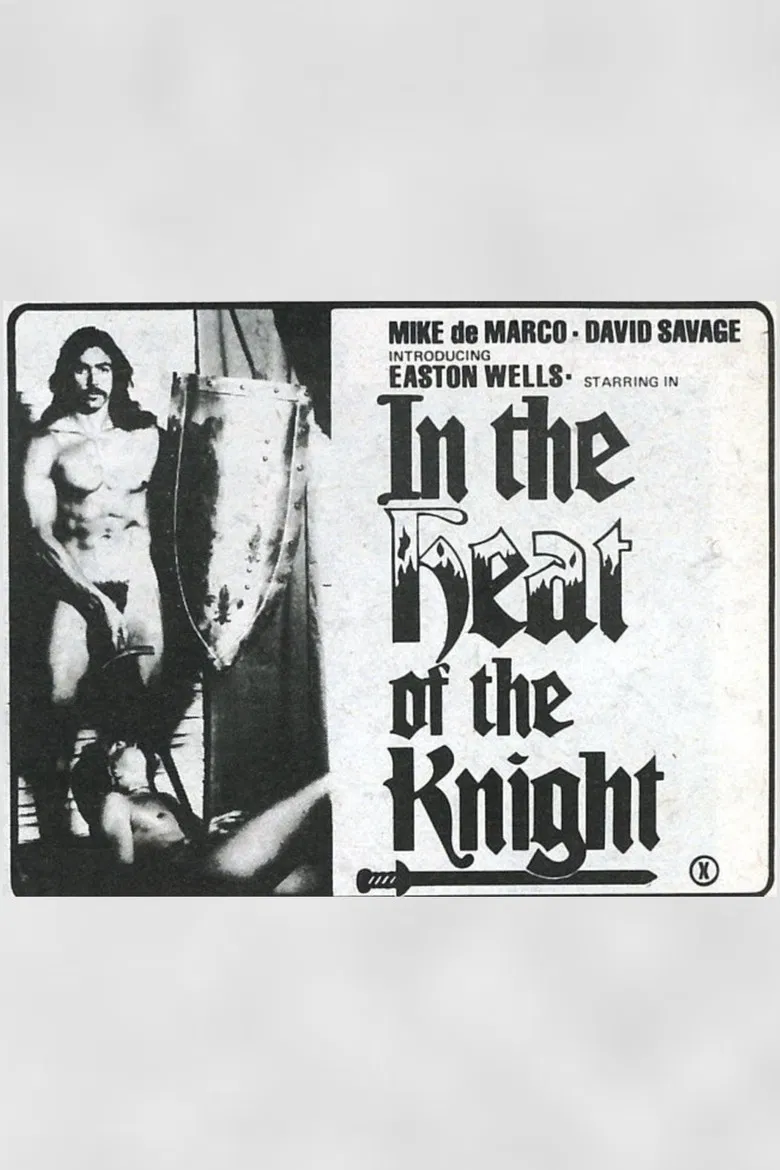 In The Heat of The Knight poster background