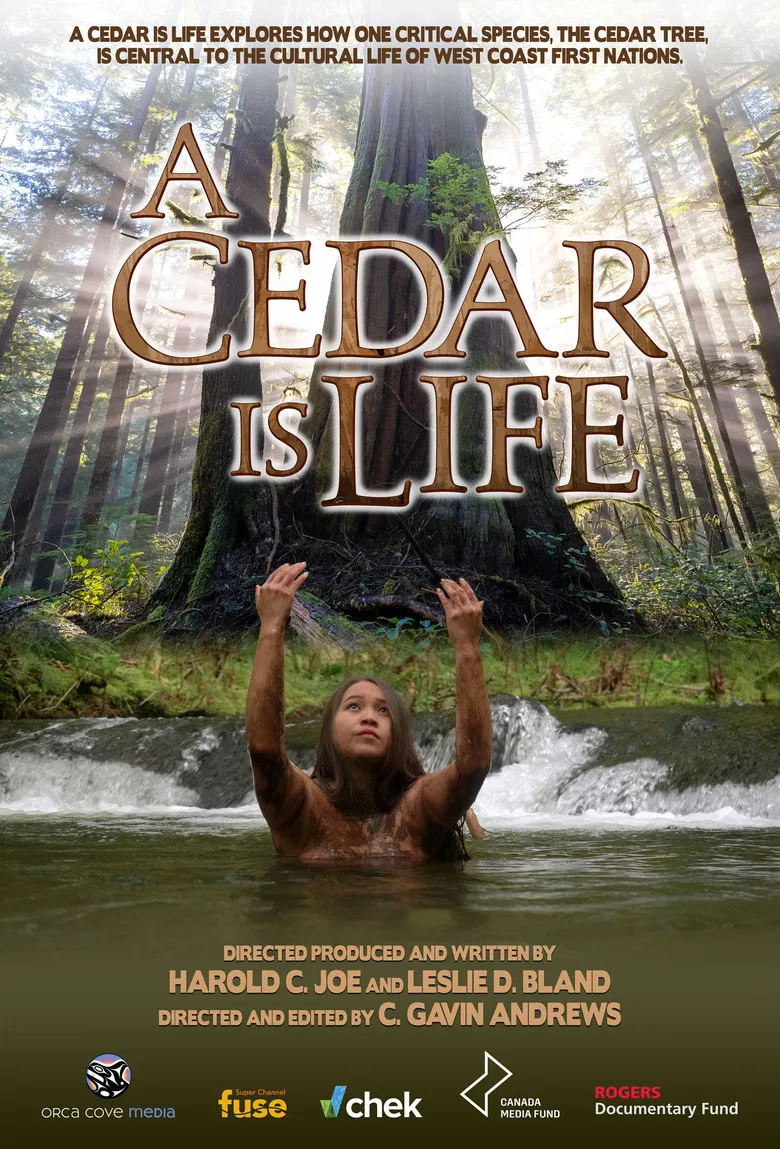 A Cedar Is Life poster background