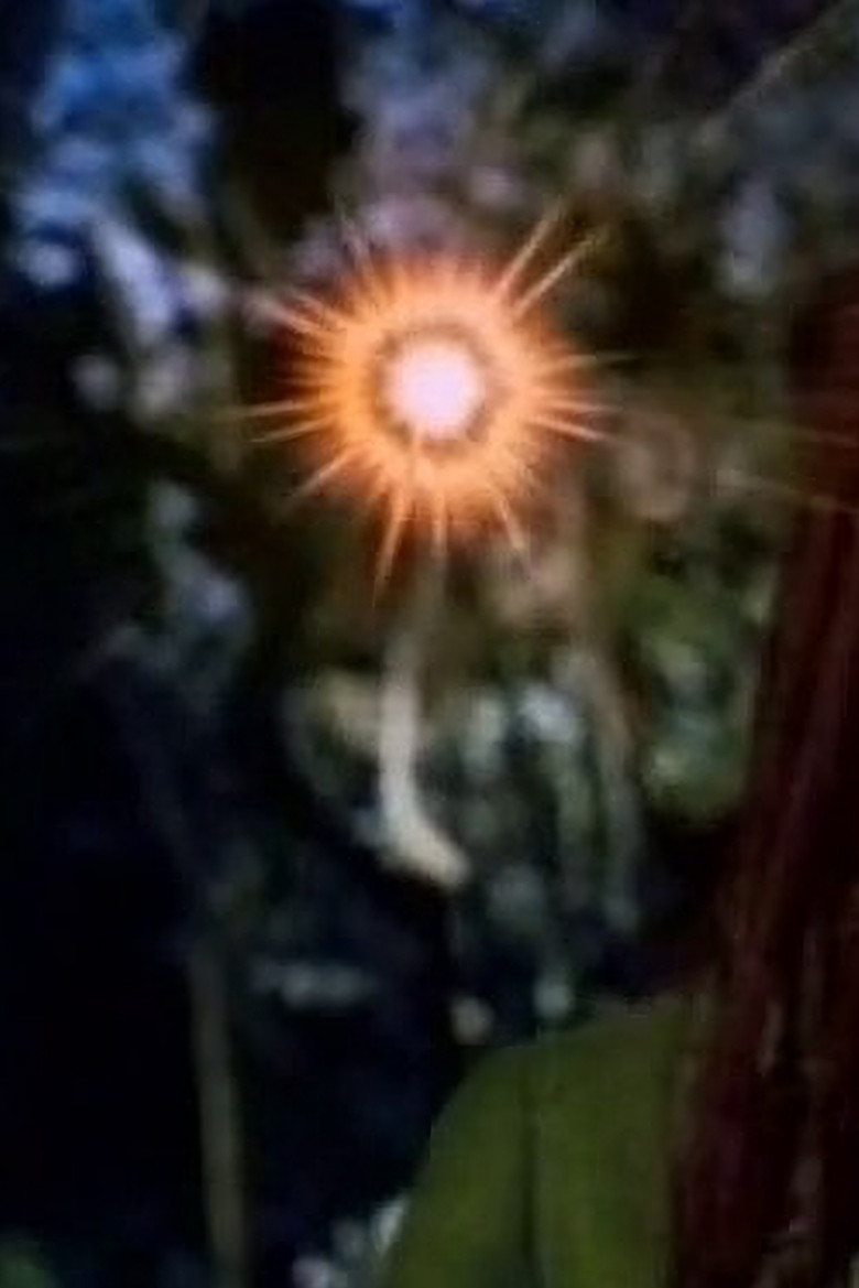 Hinekaro Goes on a Picnic and Blows Up Another Obelisk poster background