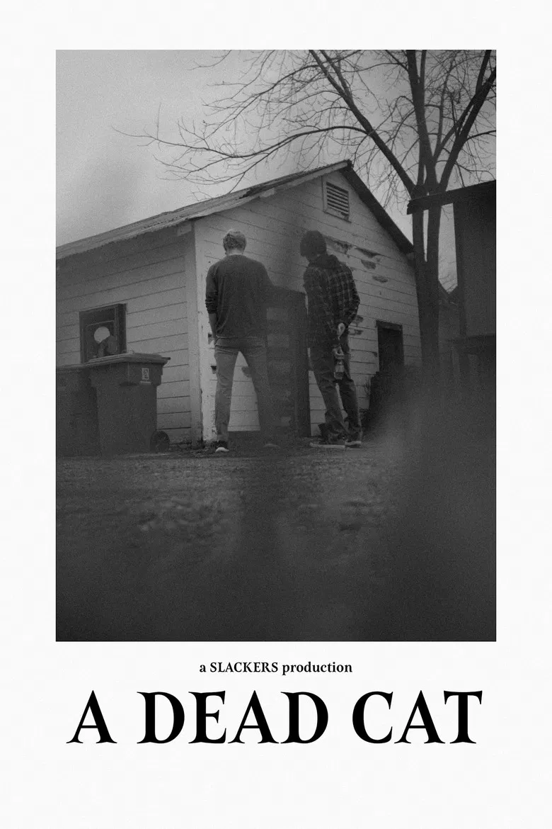 A Dead Cat poster background