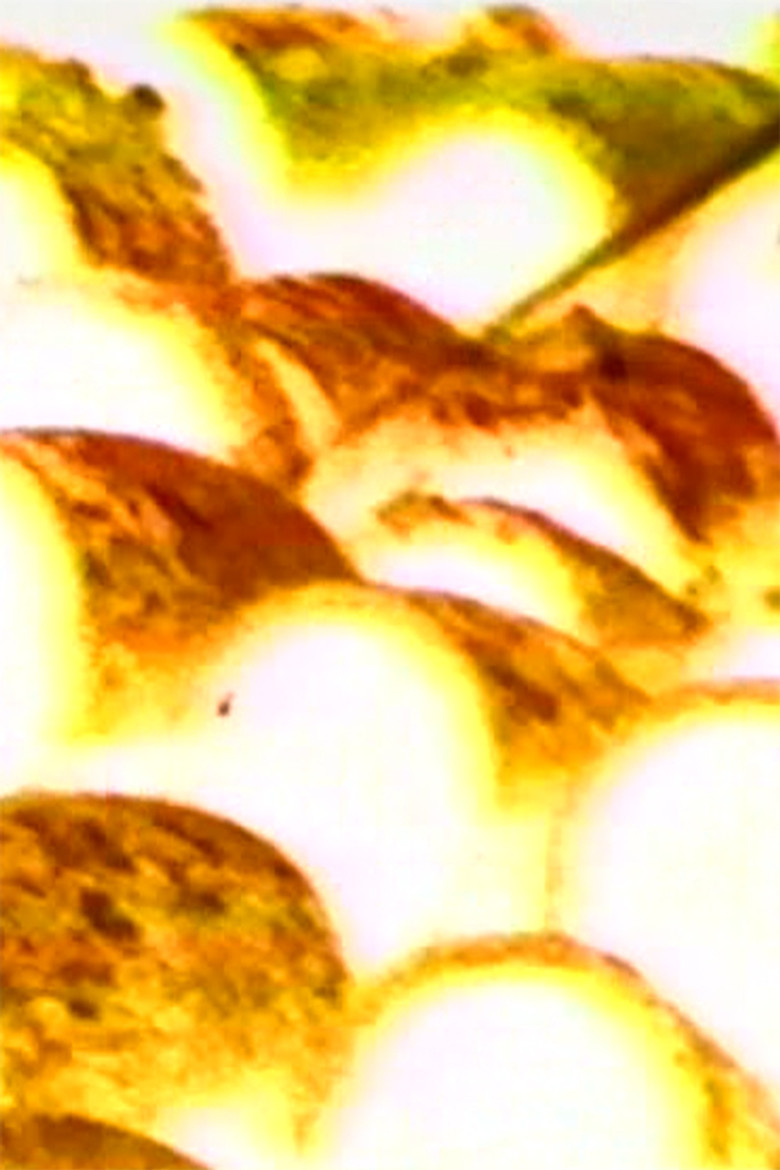 Inner New Moon poster background