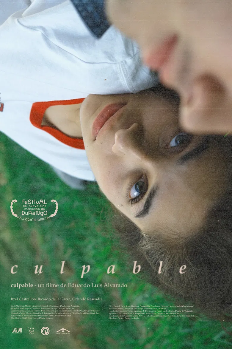 Culpable poster background
