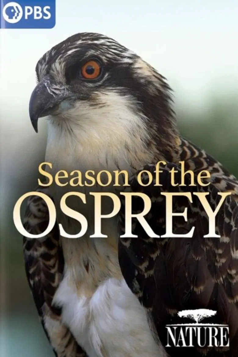 Season of the Osprey poster background