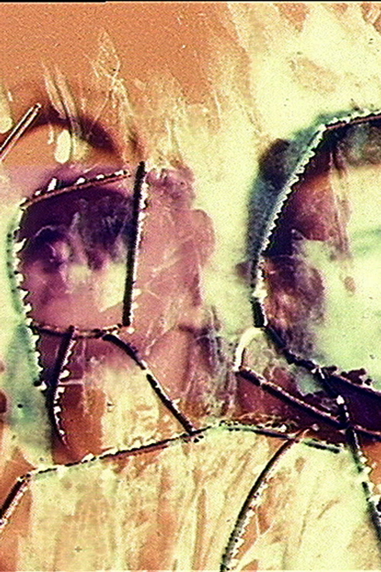 Food poster background