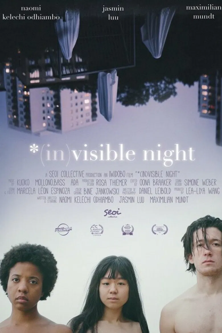 *(In)Visible Night poster background