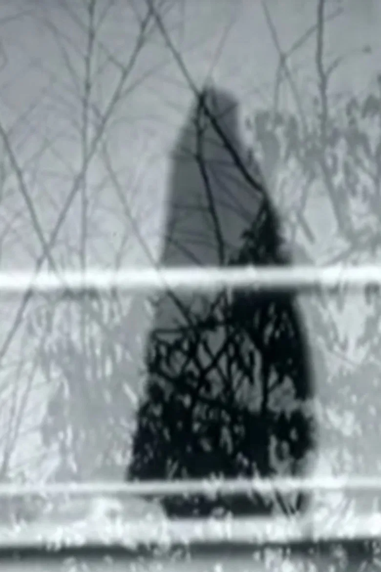 Never Happened poster background