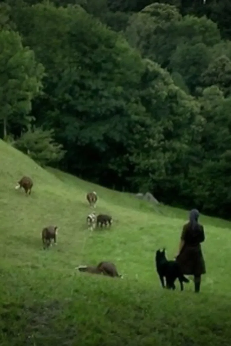 Olga e il tempo - Parte terza: Elegia della sera poster background