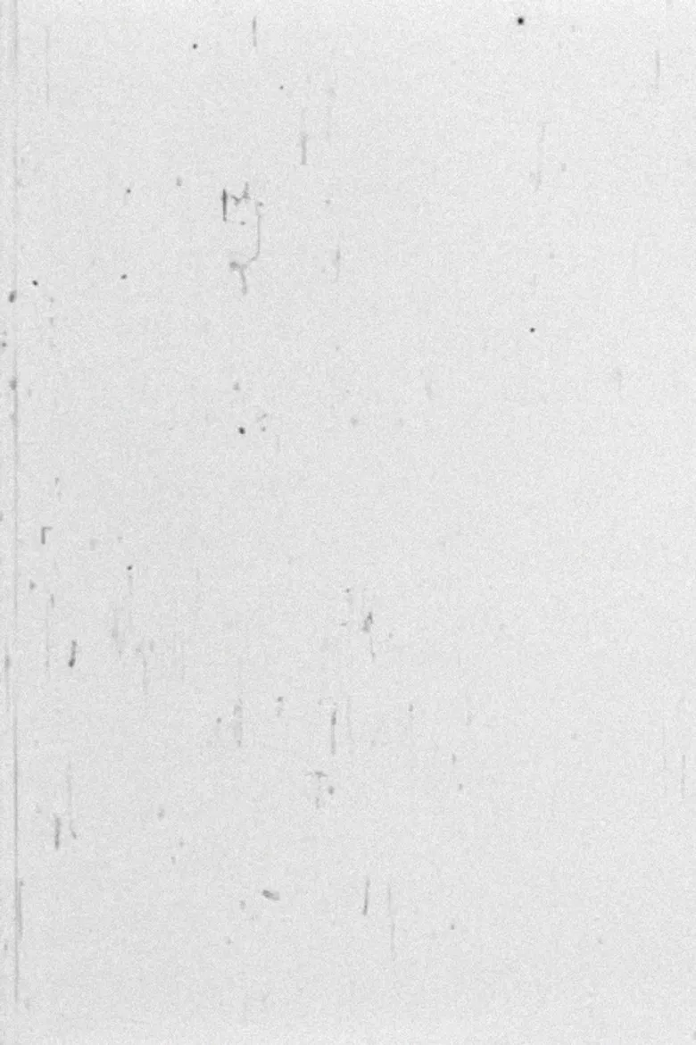 White poster background