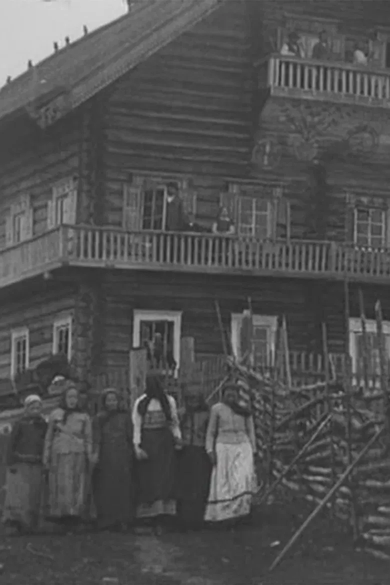 Karelian Wedding in the Land of the Kalevala poster background