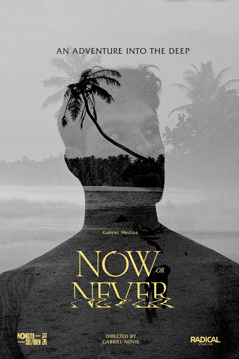 Now or Never poster background