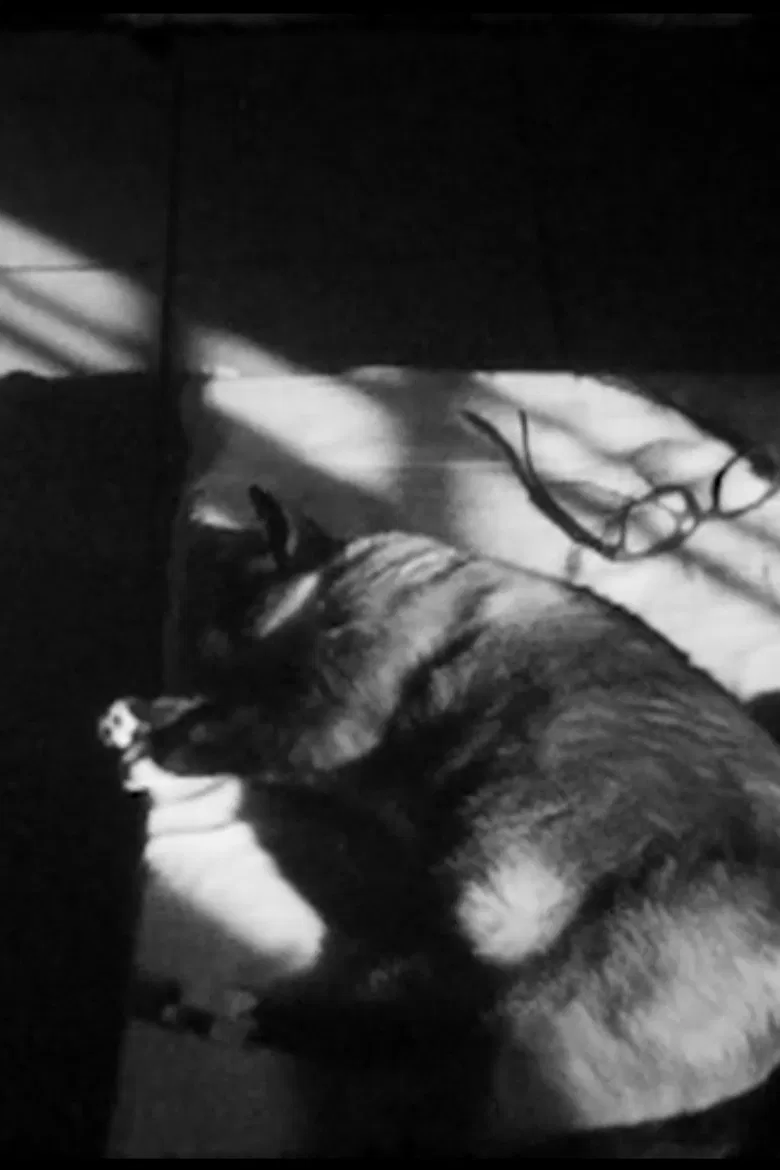 2_October poster background