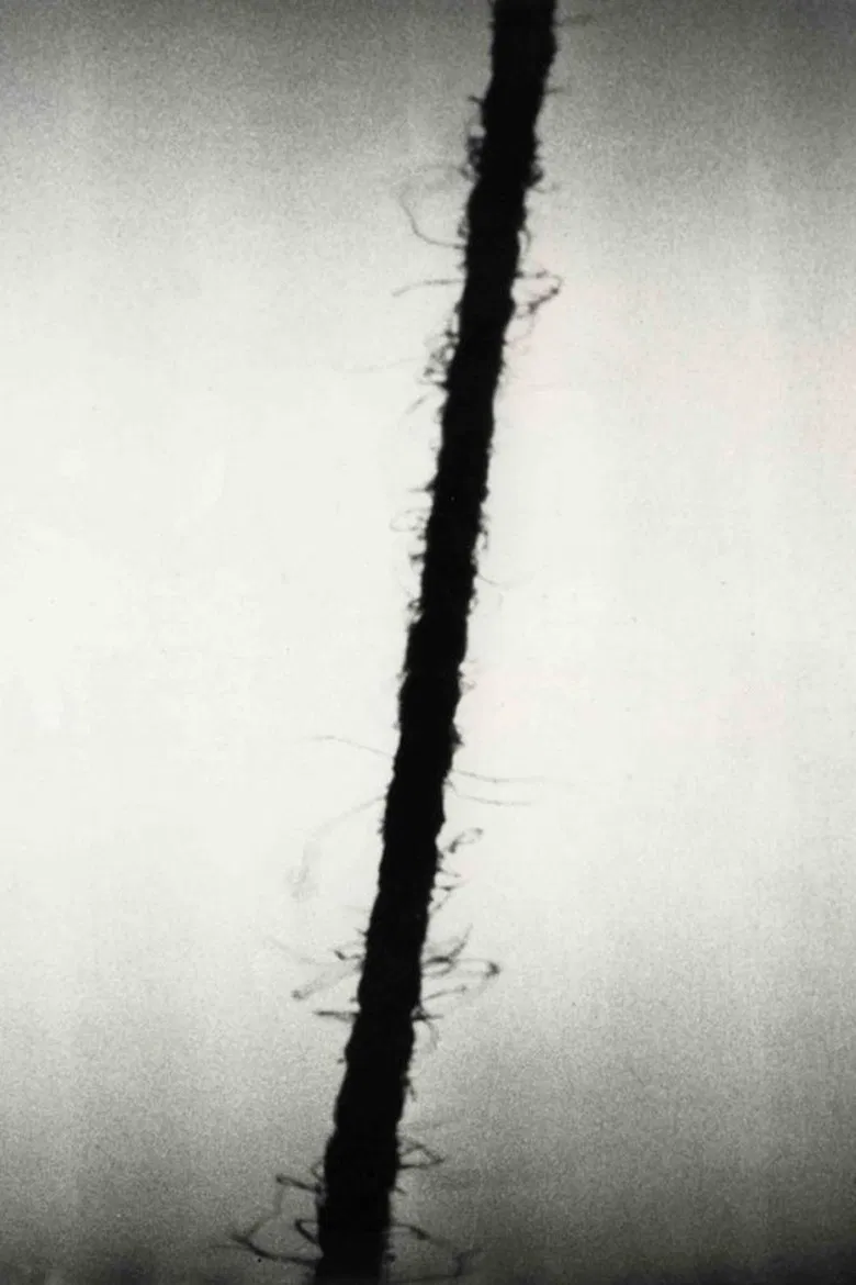 zzz: hamburg special poster background