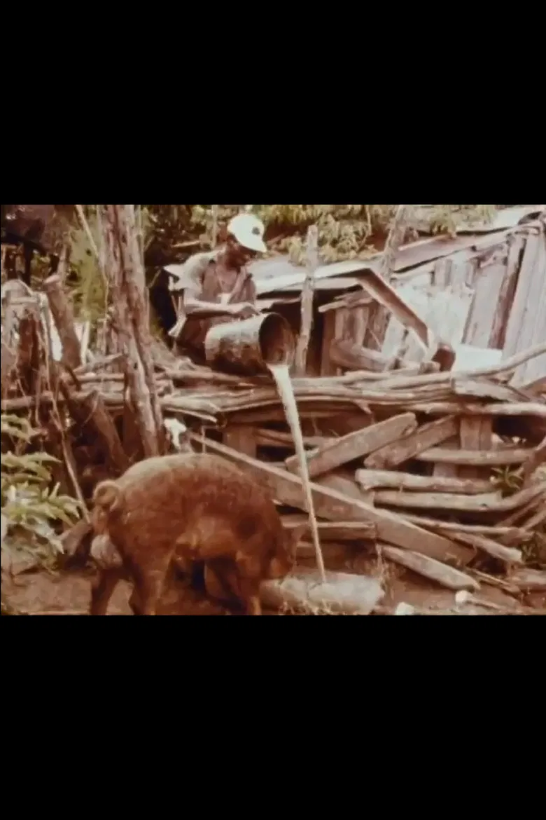 Bottle Up and Go poster background