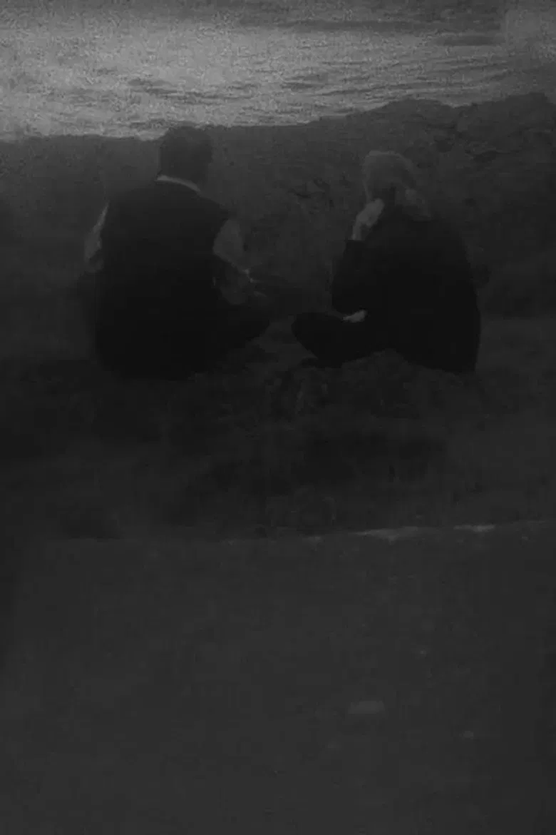 Circumcision of Participant Observation poster background