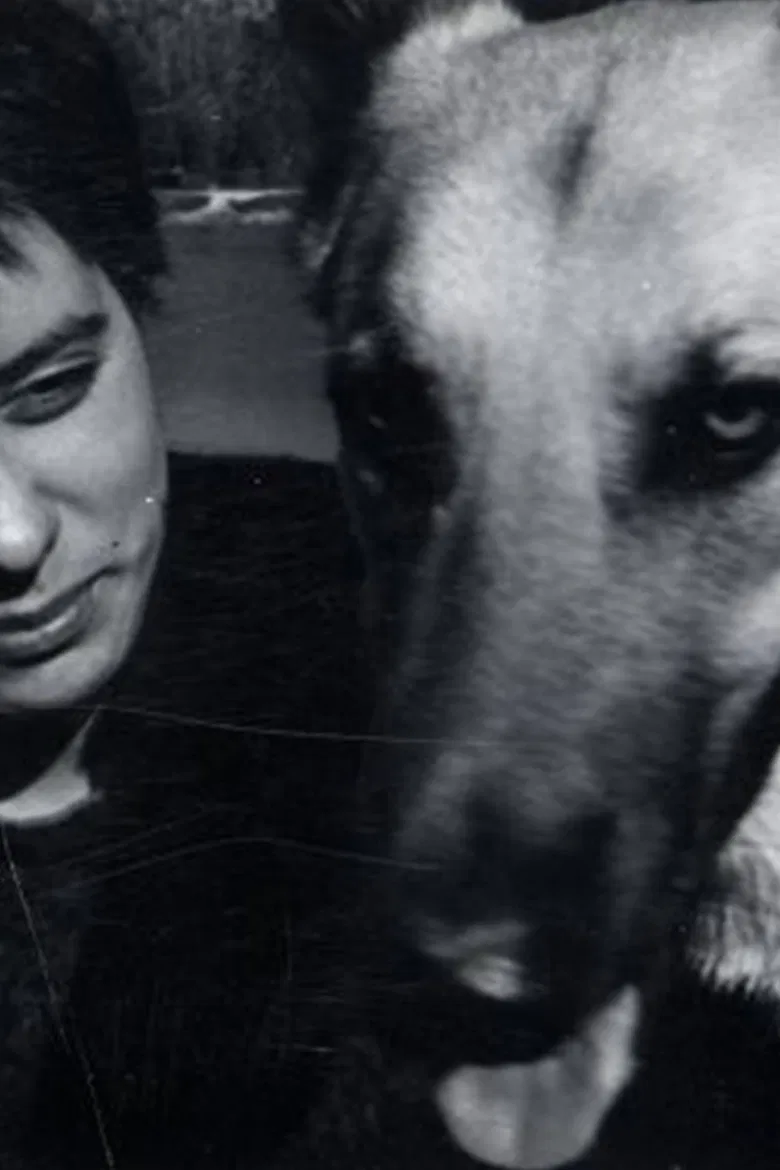 Crowdog poster background