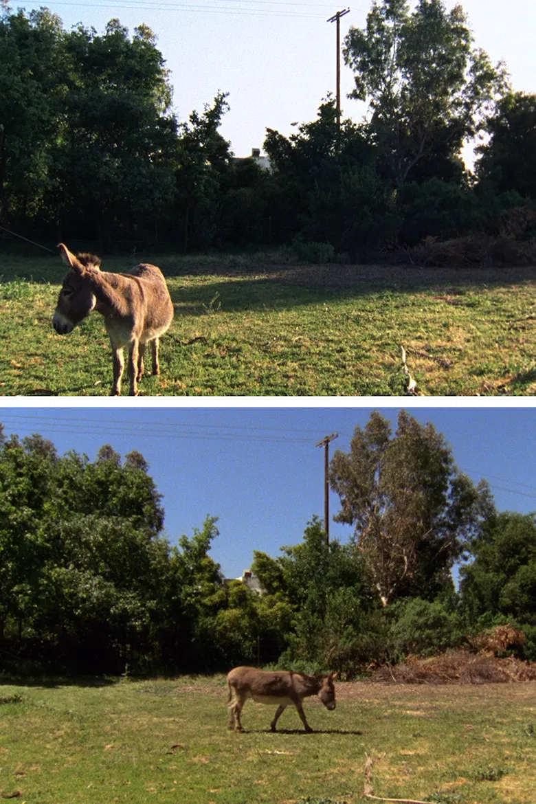 Changed Landscape poster background