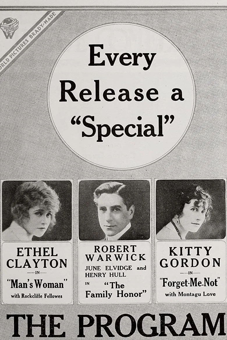 Forget-Me-Not poster background