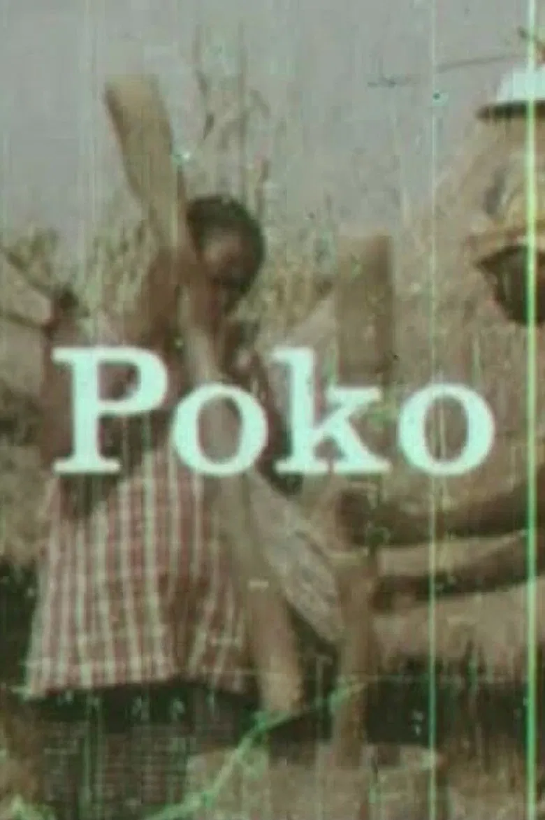 Poko poster background