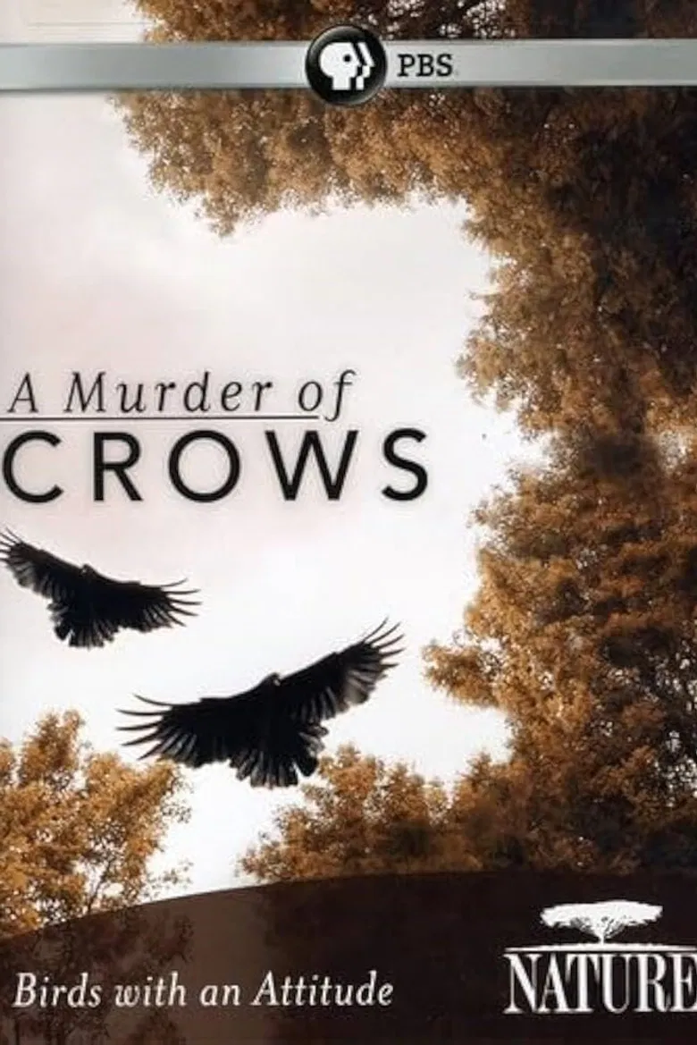 A Murder of Crows poster background