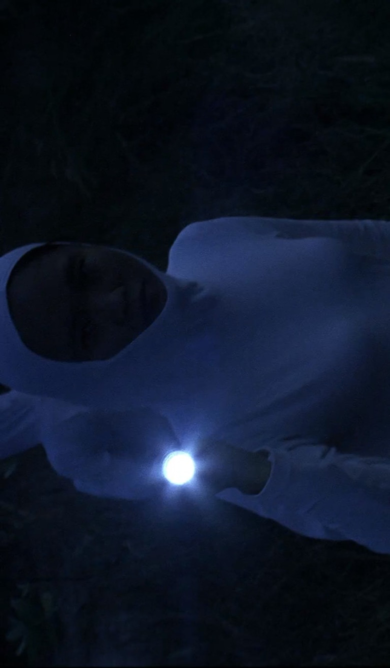 Lublae poster background