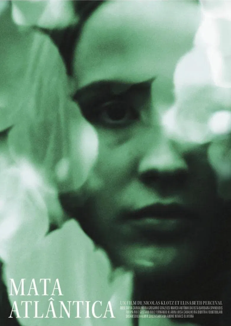 Mata Atlântica poster background