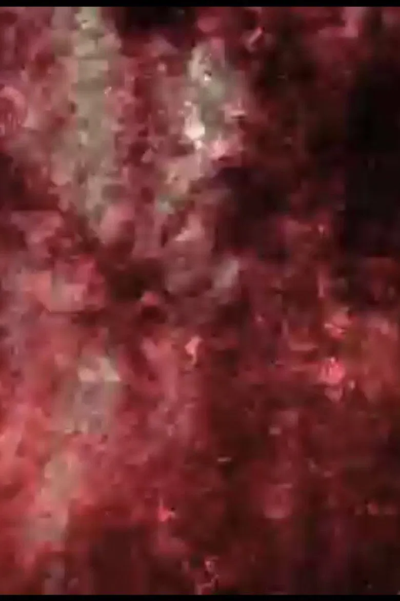 KVTV poster background