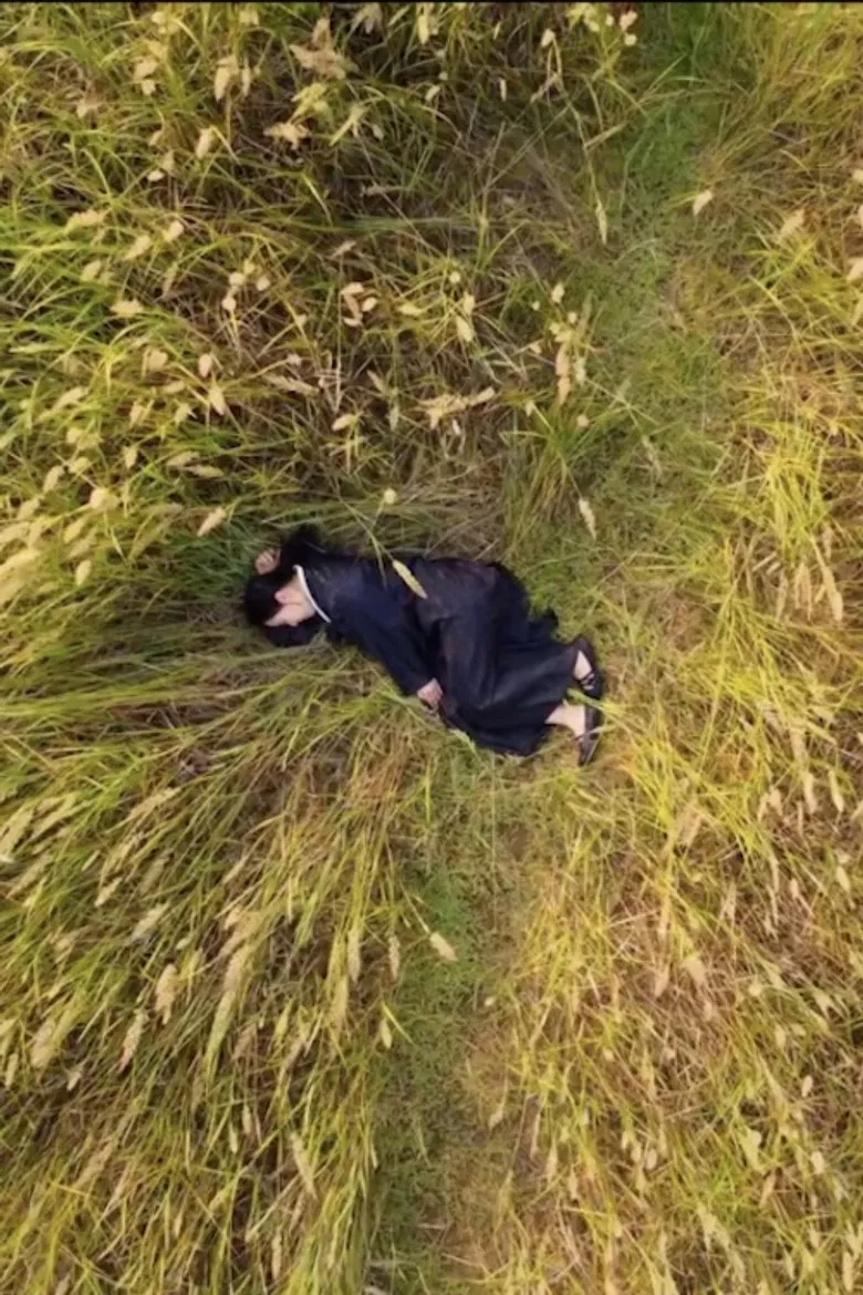 Paris to Pyongyang poster background