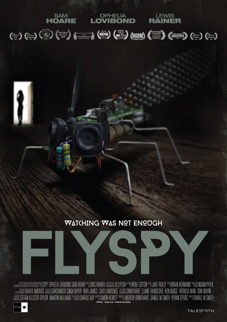 Flyspy poster background